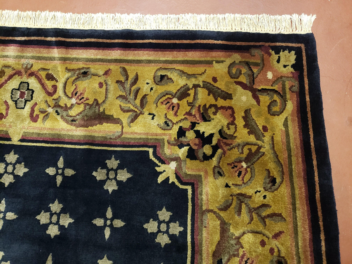 6x9 Aubusson Design Nepali Tibetan Rug Black & Tan Hand-Knotted Wool Carpet Soft Plush Pile New Rug Nice
