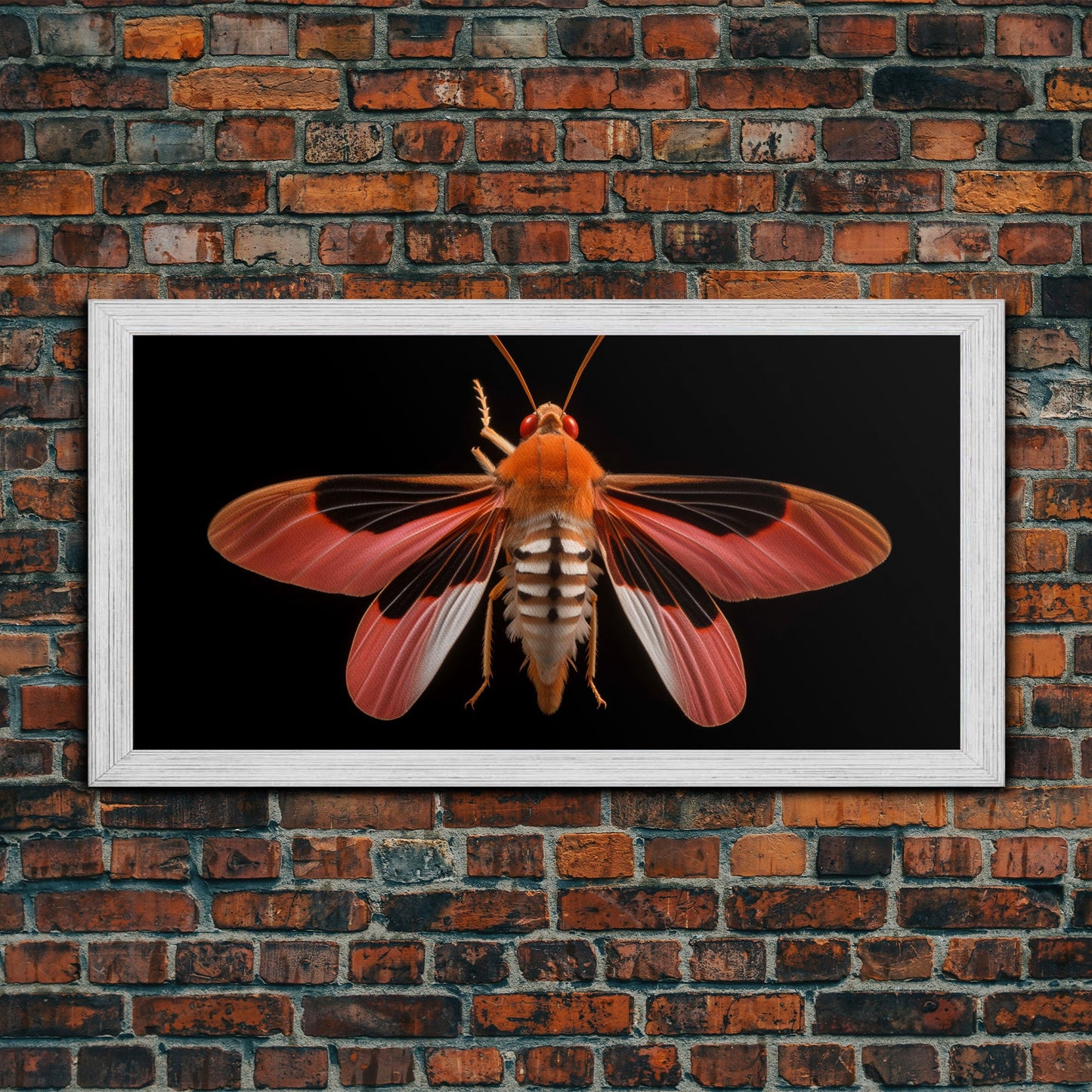 Red Moth Wall Decor, Insect Wall Art, Nature Wall Decor, Minimalist Art, Panoramic Wall Decor, Canvas Print, Wall Art, Framed Canvas Art
