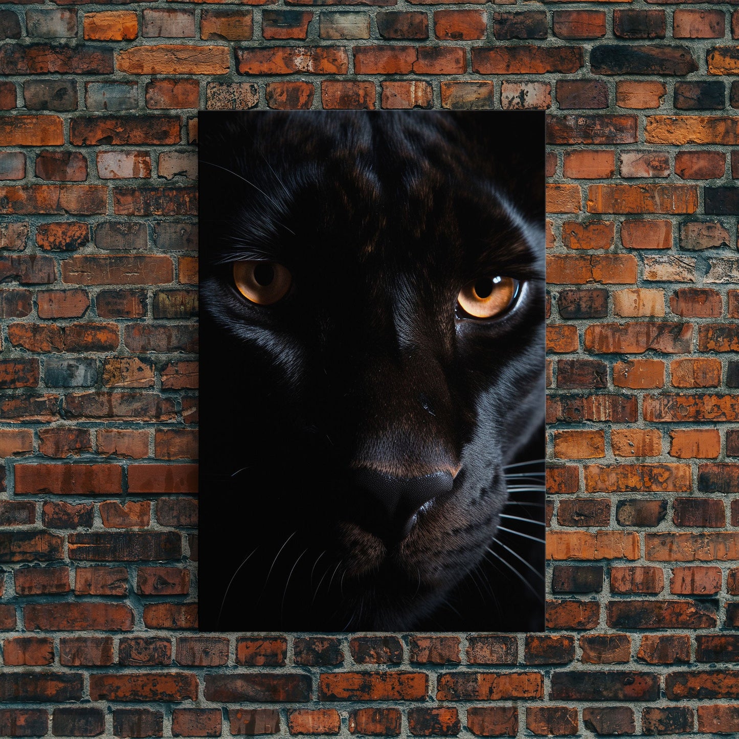 Portrait Of A Predator, Black Cat, Black Panther Photography, Framed Canvas Print, Wood Frame Wall Art