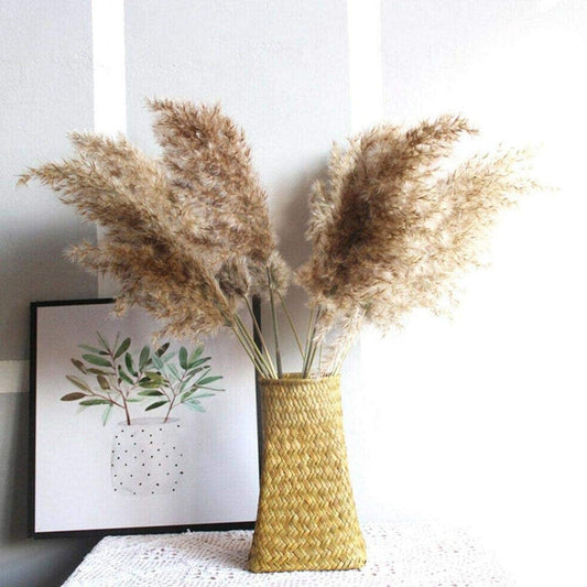 30/50pcs Bulrush Natural Dried Small Pampas Grass Artificial Decor Wedding Flower Bunch Home Office  Floor Vase Filler for Living Room Kitchen And Event Decoration
