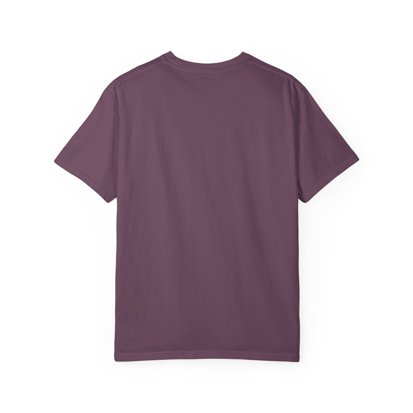 Stars, Stripes & Swoop | Political Parody T-Shirt
