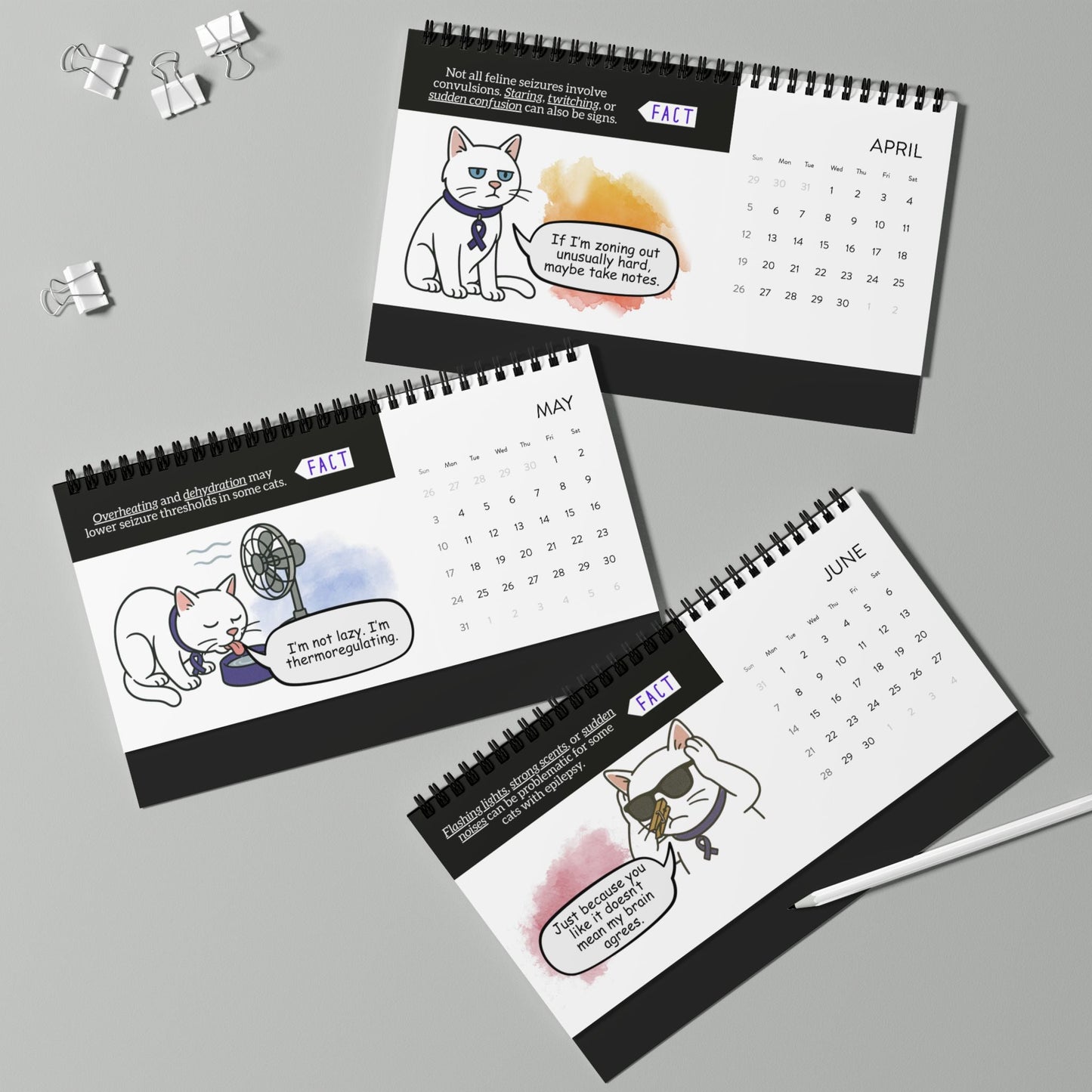 Watching the Signs: A Cat’s Year With Epilepsy Desktop Calendar (Epileptic AL)