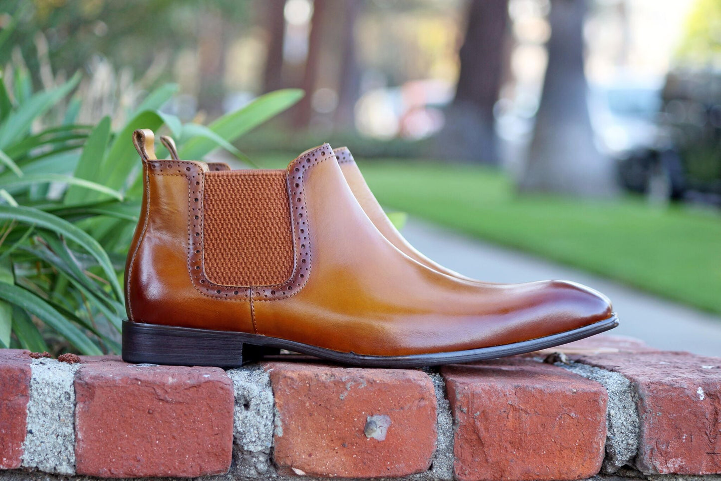 Carrucci Burnished Calfskin Belt - Cognac