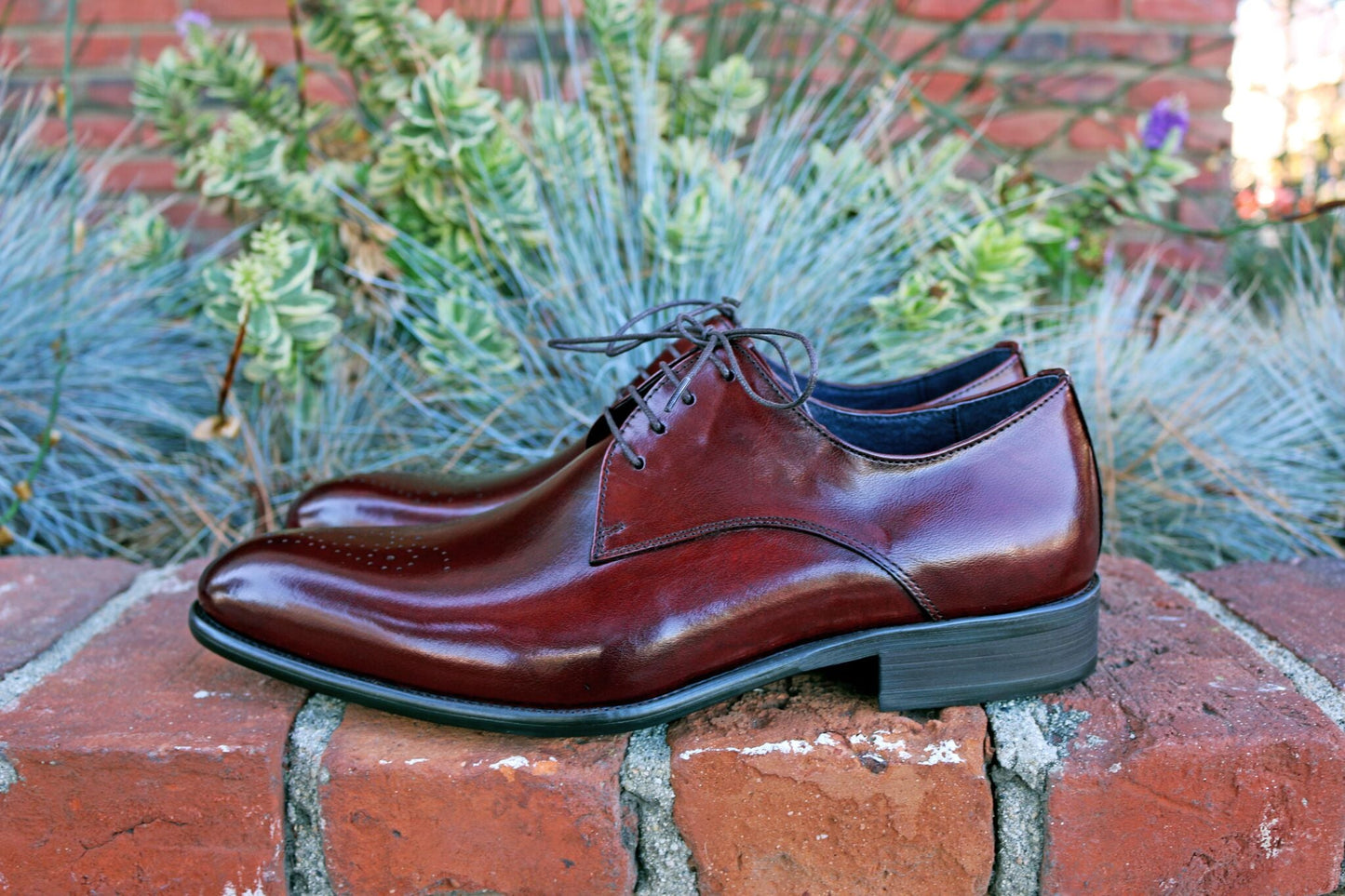 Ugo Vasare Burnished Calfskin Oxford - Burgundy