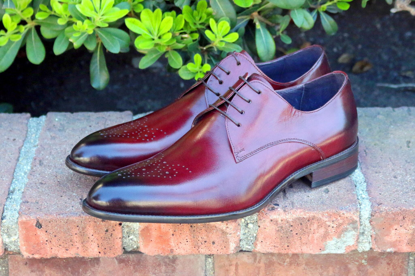 Ugo Vasare Burnished Calfskin Oxford - Burgundy