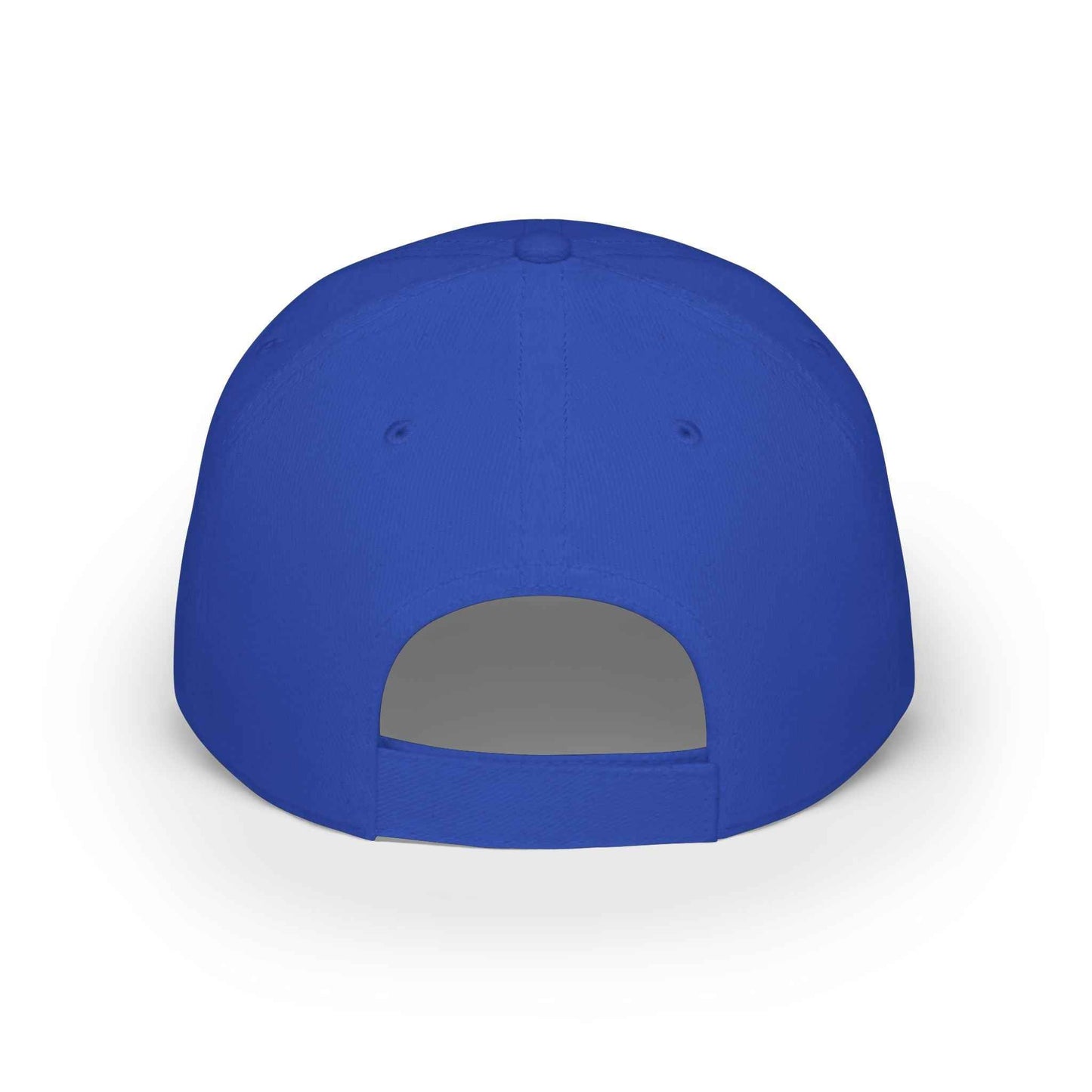 Department of Tides & Tan Lines Dad Cap – Coastal Seal Hat, Office of Saltwater Affairs