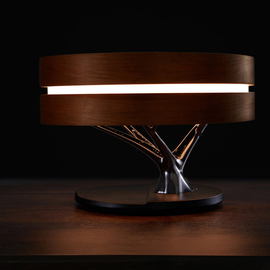 Multifunctional Luxury Music Lamp