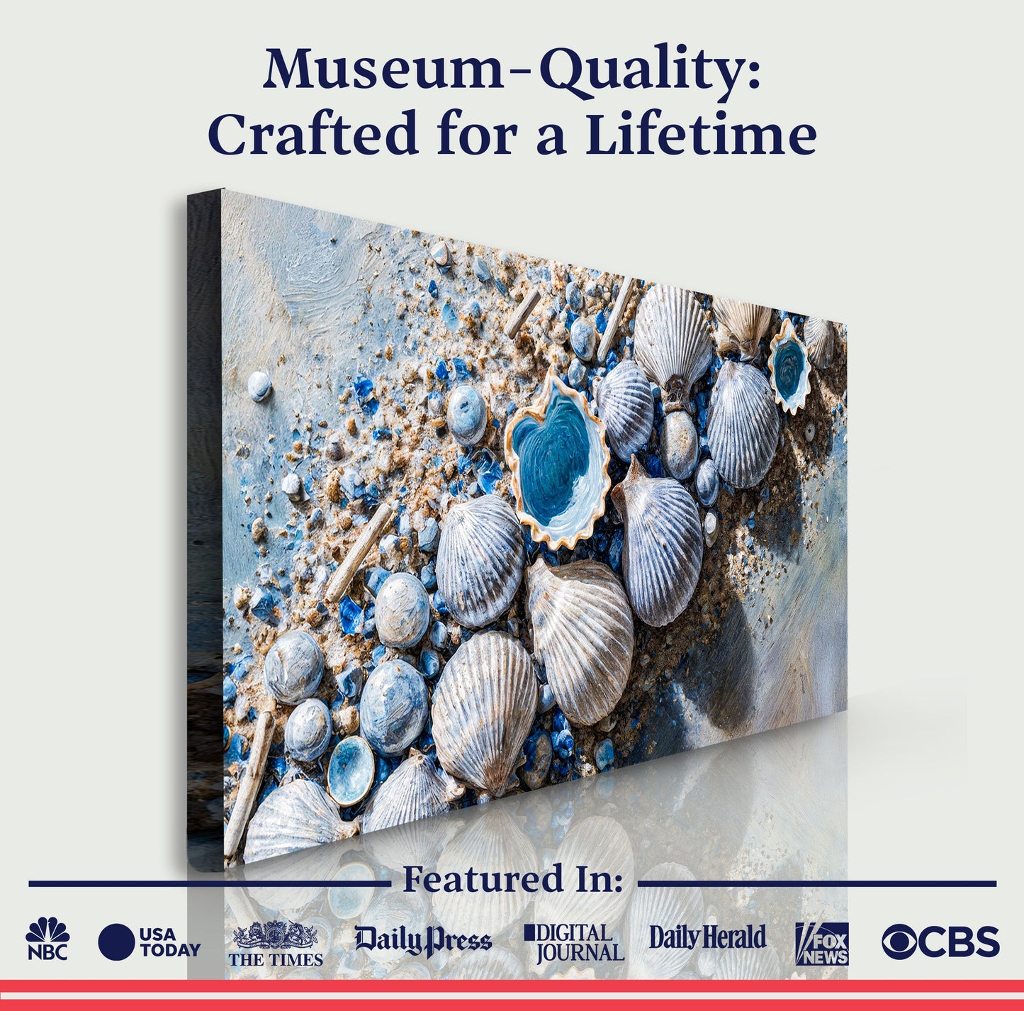 Sea Shells Modern Coastal Wall Art II