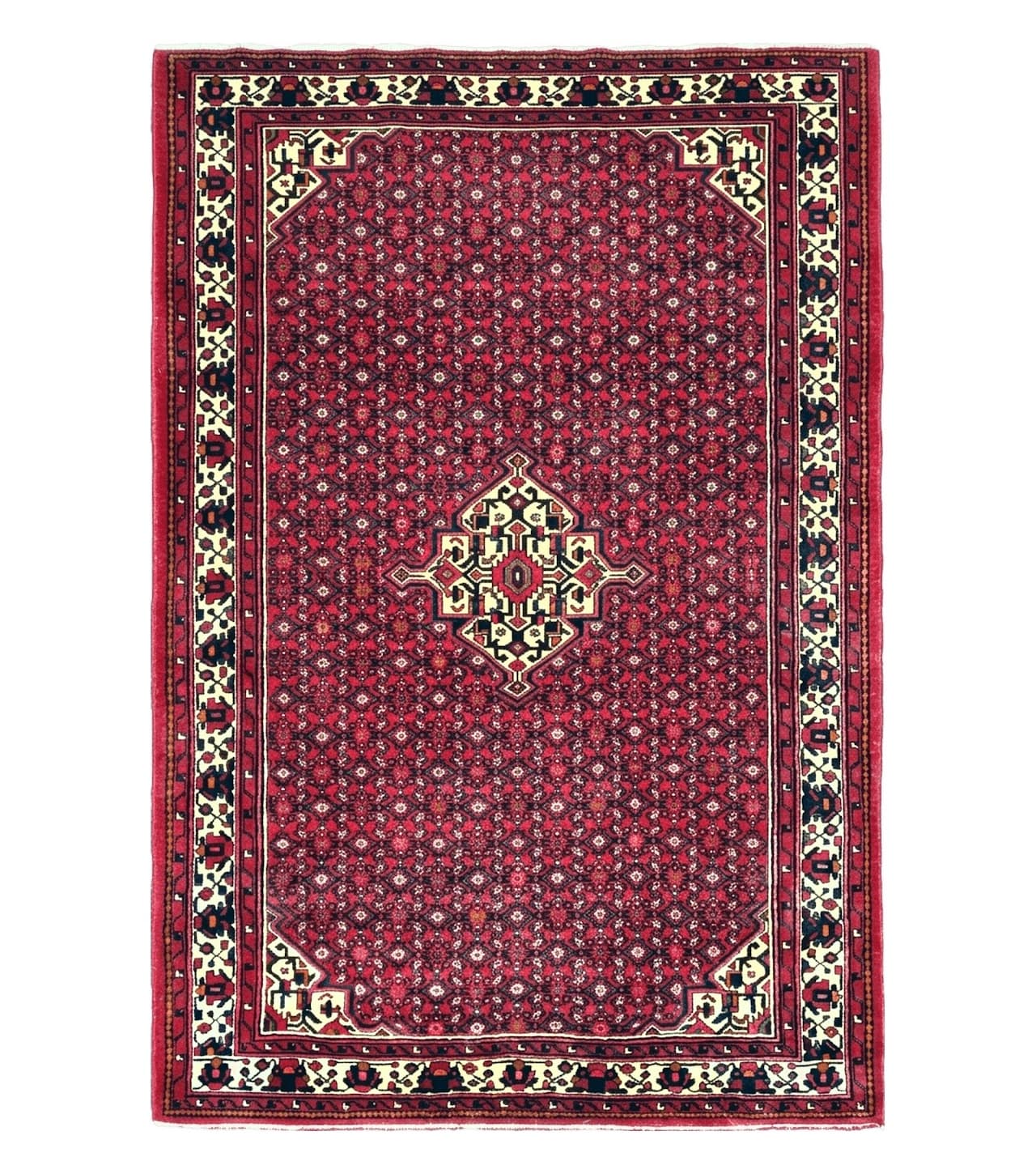 Vintage Persian Hamedan Rug 7x10, Angelas Mahi Pattern, Red, Wool, Hand-Knotted
