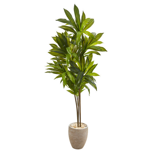 68" Dracaena Artificial Plant in Sand Colored Planter (Real Touch)