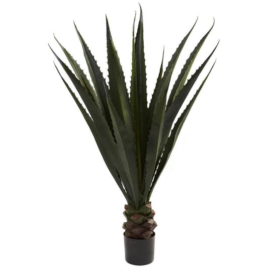 52"  Giant Agave Plant