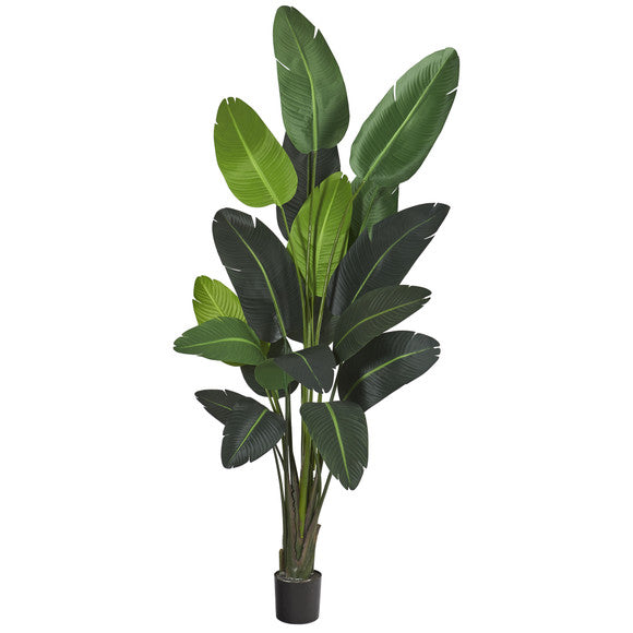 8' Traveler's Palm Artificial tree