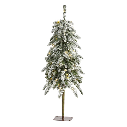 3.5' Flocked Washington Alpine Christmas Tree with 50 White Warm LED lights