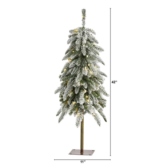 3.5' Flocked Washington Alpine Christmas Tree with 50 White Warm LED lights