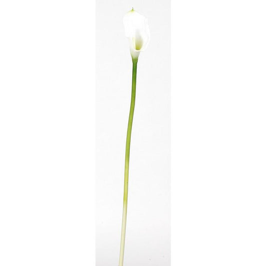 Calla Lilly Silk Flower (12 Stems)