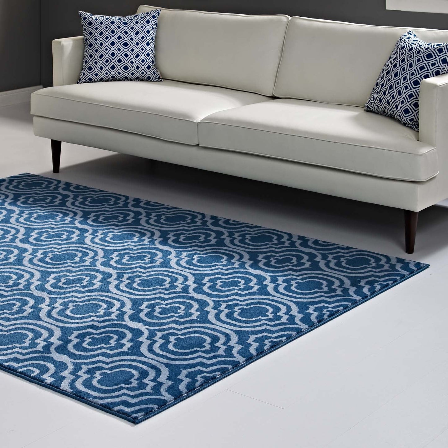 Frame Transitional Moroccan Trellis 8x10 Area Rug by Modway