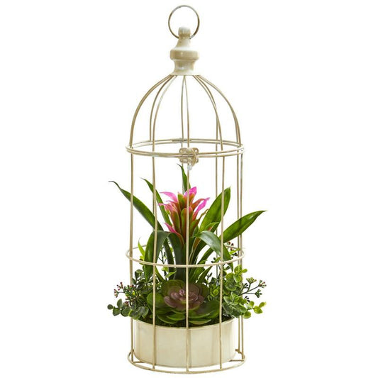 19"  Bromeliad & Succulent Artificial Arrangement in Bird Cage