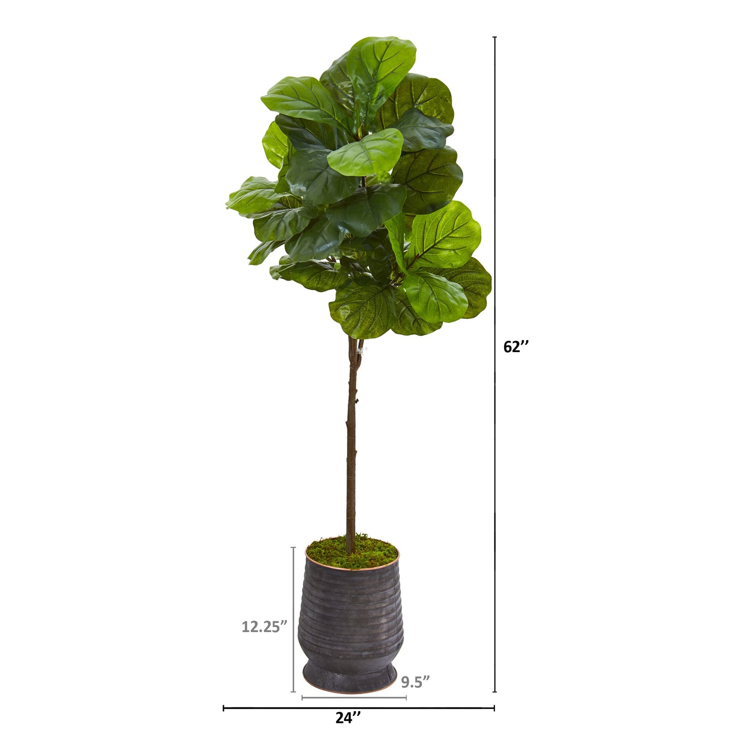 62"  Fiddle Leaf Artificial Tree in Ribbed Metal Planter (Real Touch)