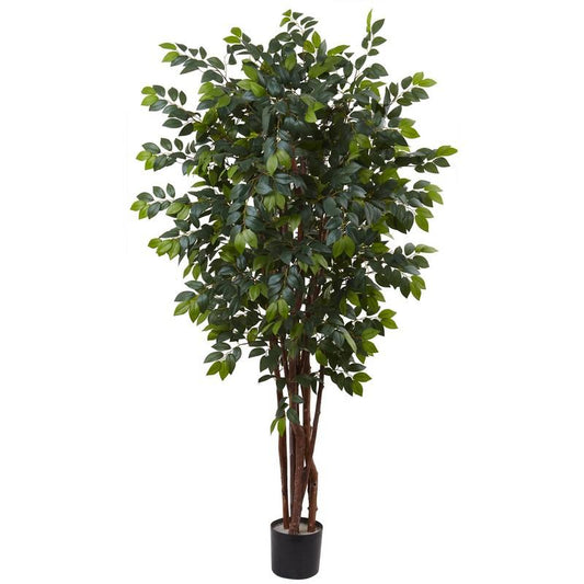 7' Sakaki Silk Tree