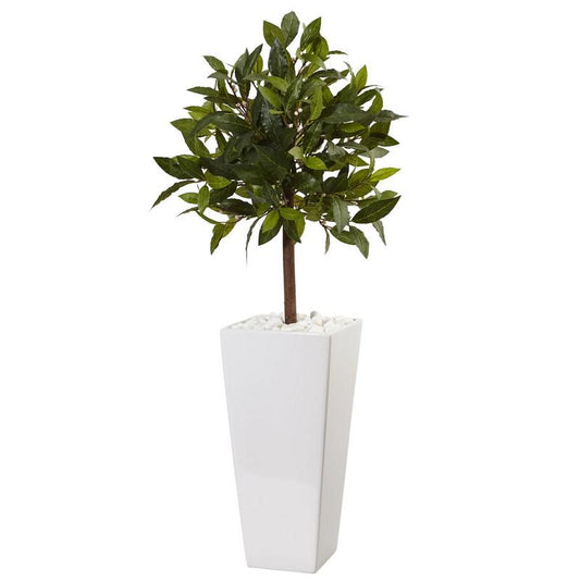 3' Sweet Bay Tree in White Tower Planter