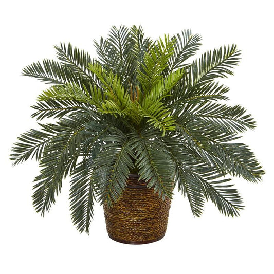 15"  Cycas Artificial Plant in Basket