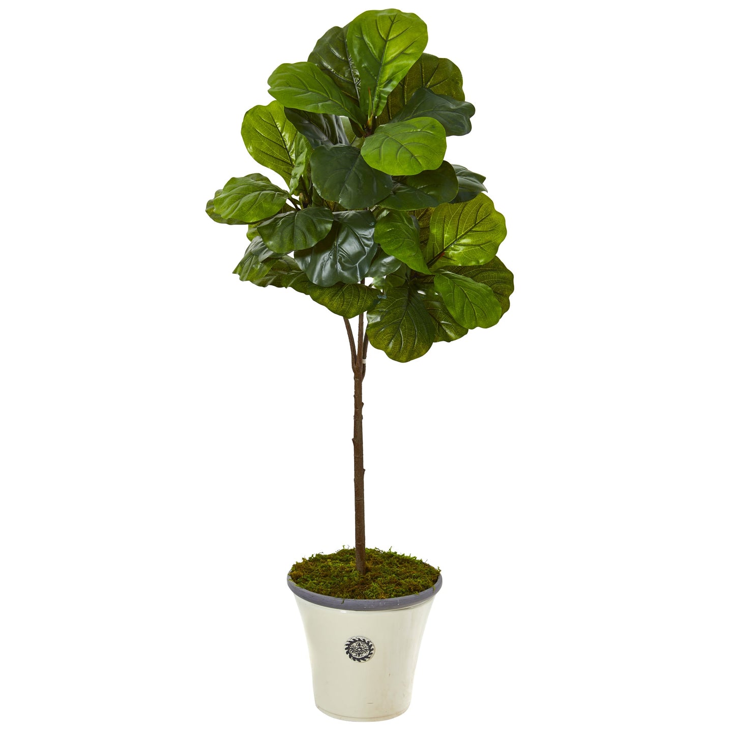 61"  Fiddle Leaf Artificial Tree in Planter (Real Touch)