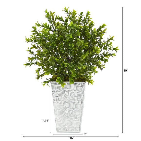 19" Boxwood Artificial Plant in Embossed White Planter