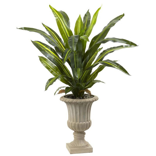 5' Dracaena Plant with Urn (Real Touch)