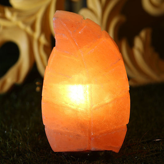 Salt Crystal Leaf Lamp