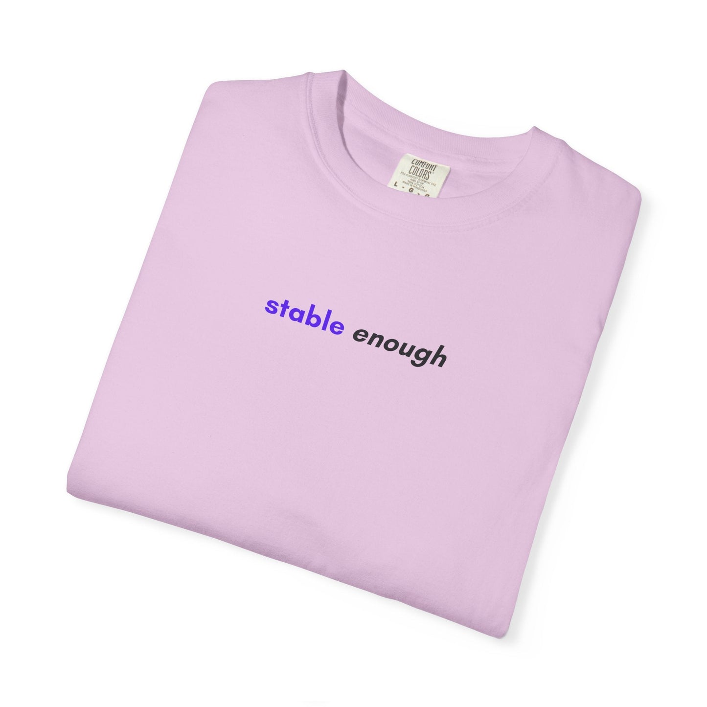 Stable Enough Epilepsy Awareness T-Shirt | Minimal Awareness Tee