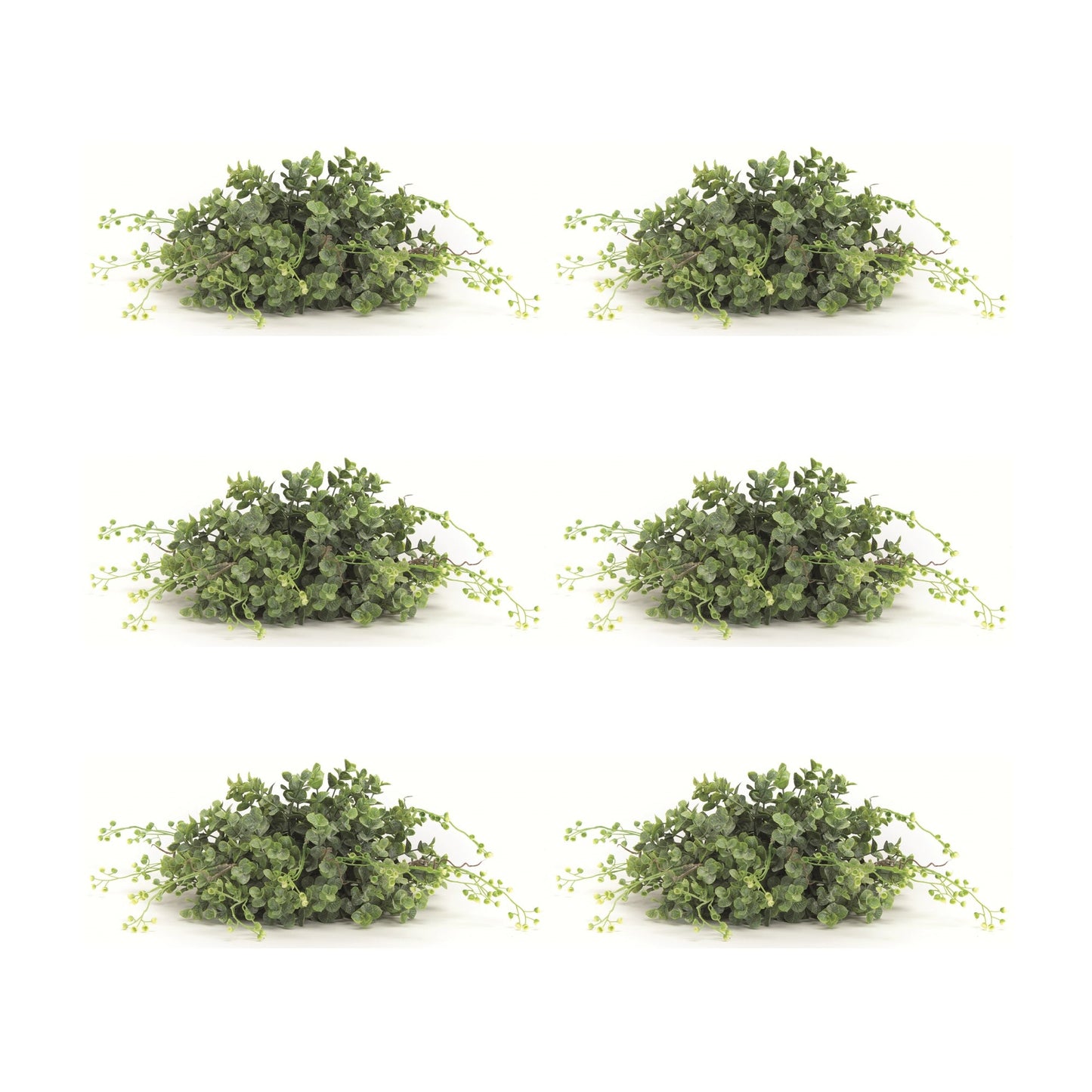 Spring Boxwood Foliage Half Orb (Set of 6)