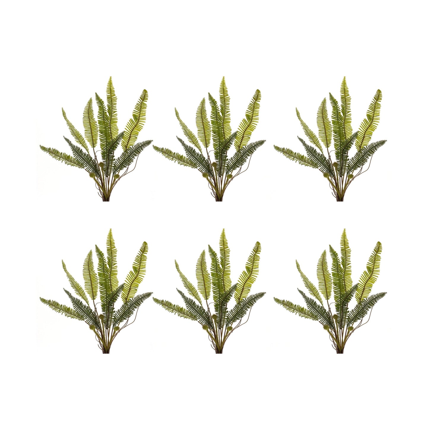 Varigated Fern Foliage Bush (Set of 6)