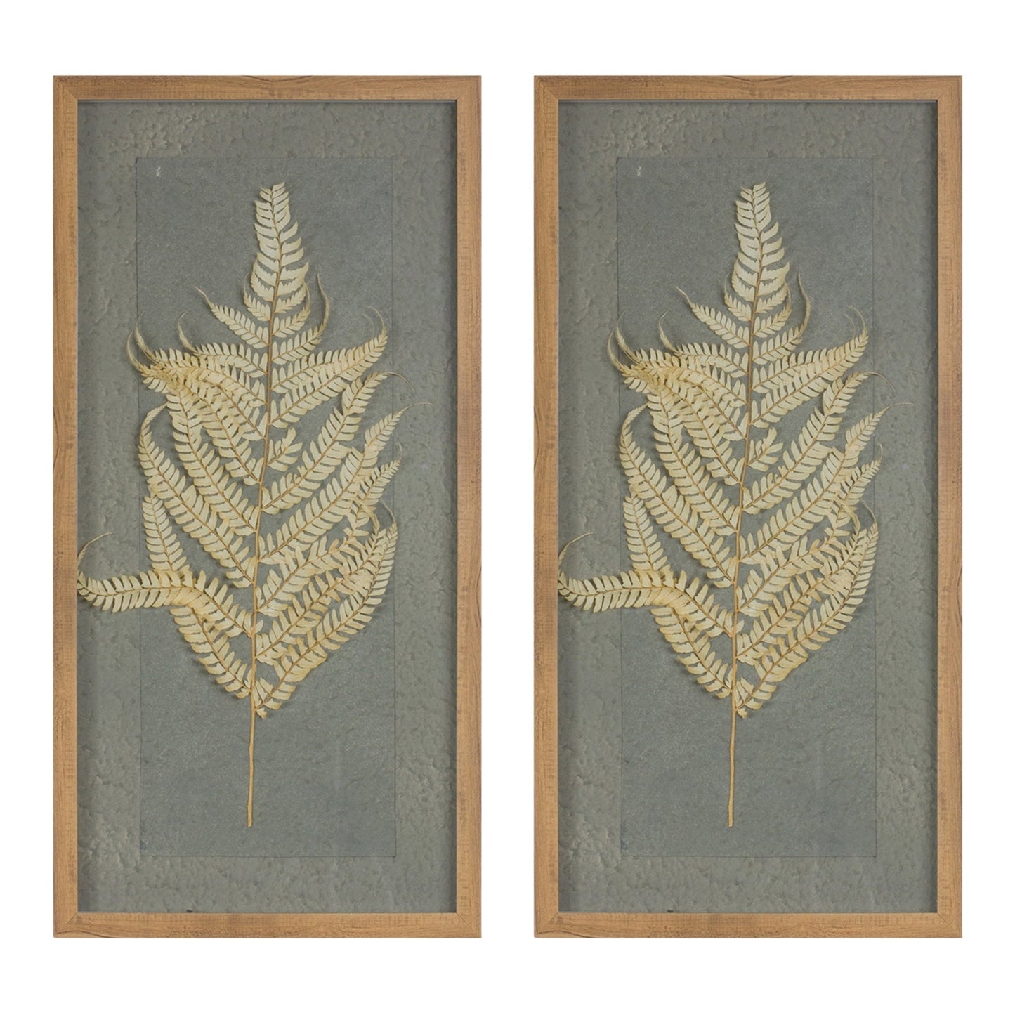Dried Fern Frame (Set of 2)