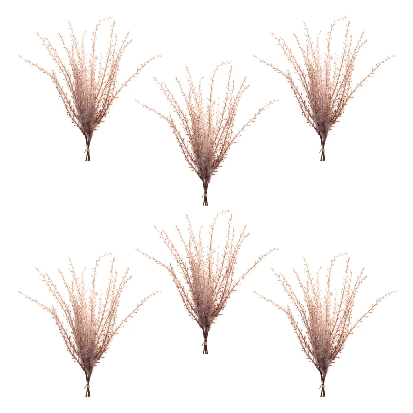 Grass Plume Bundle (Set of 6)