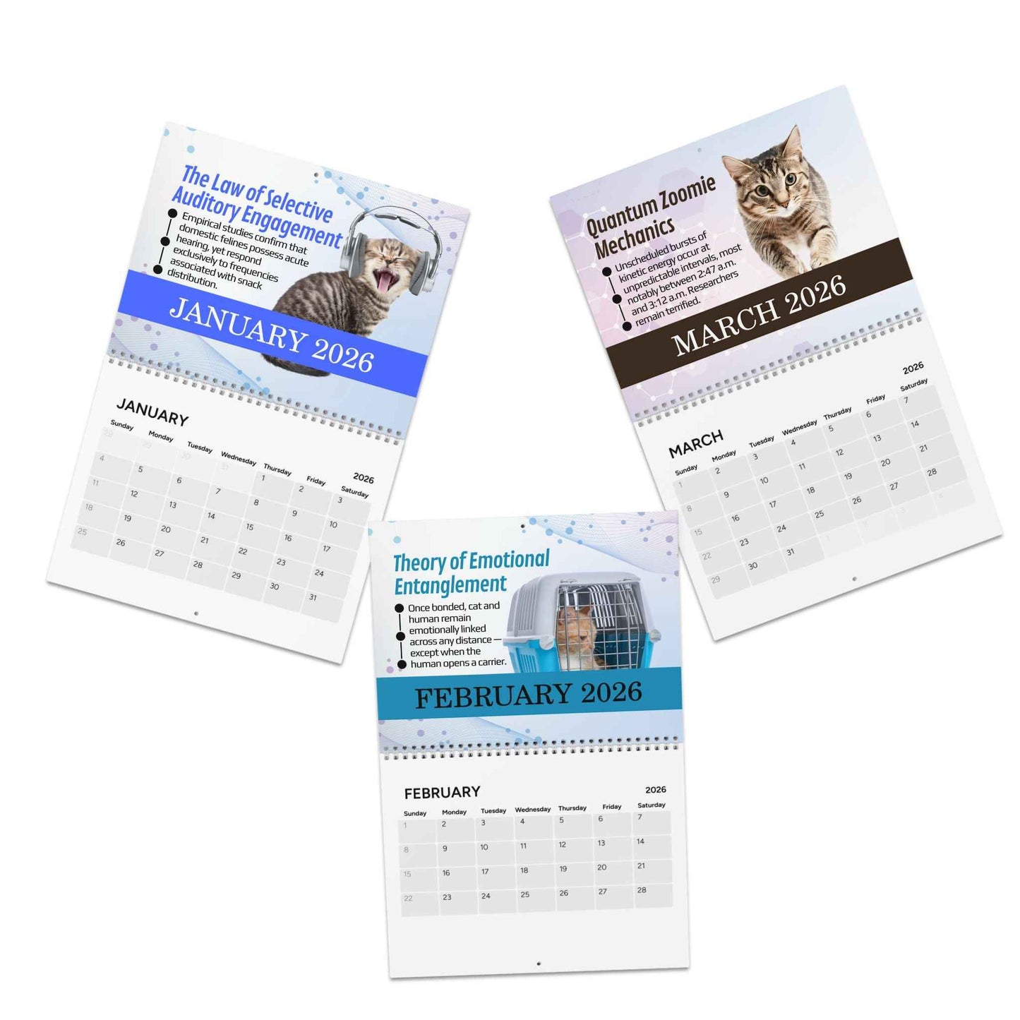 Paws & Effect: The Science of Cat Logic 2026 Calendar