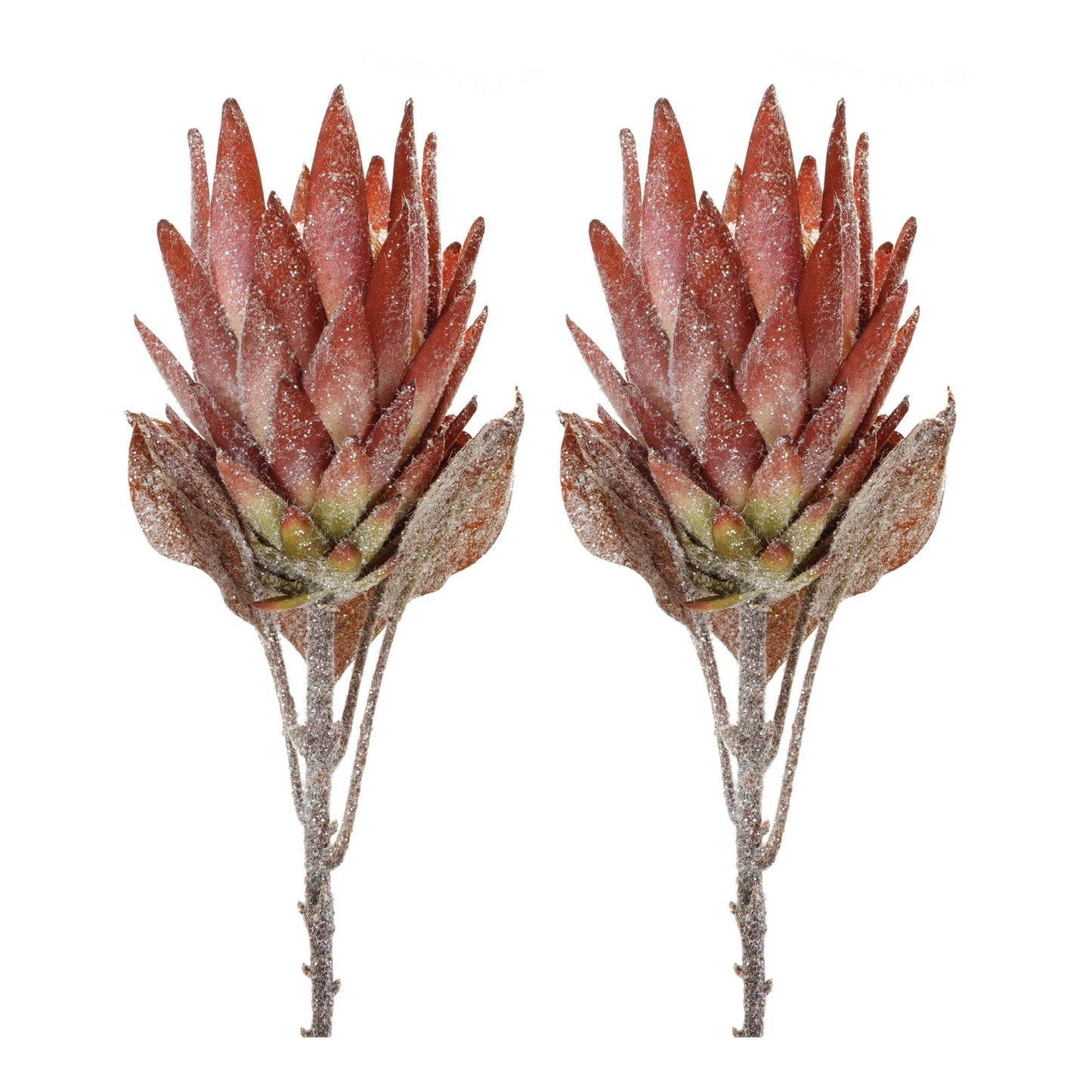 Orange Protea Flower Stem (Set of 2)
