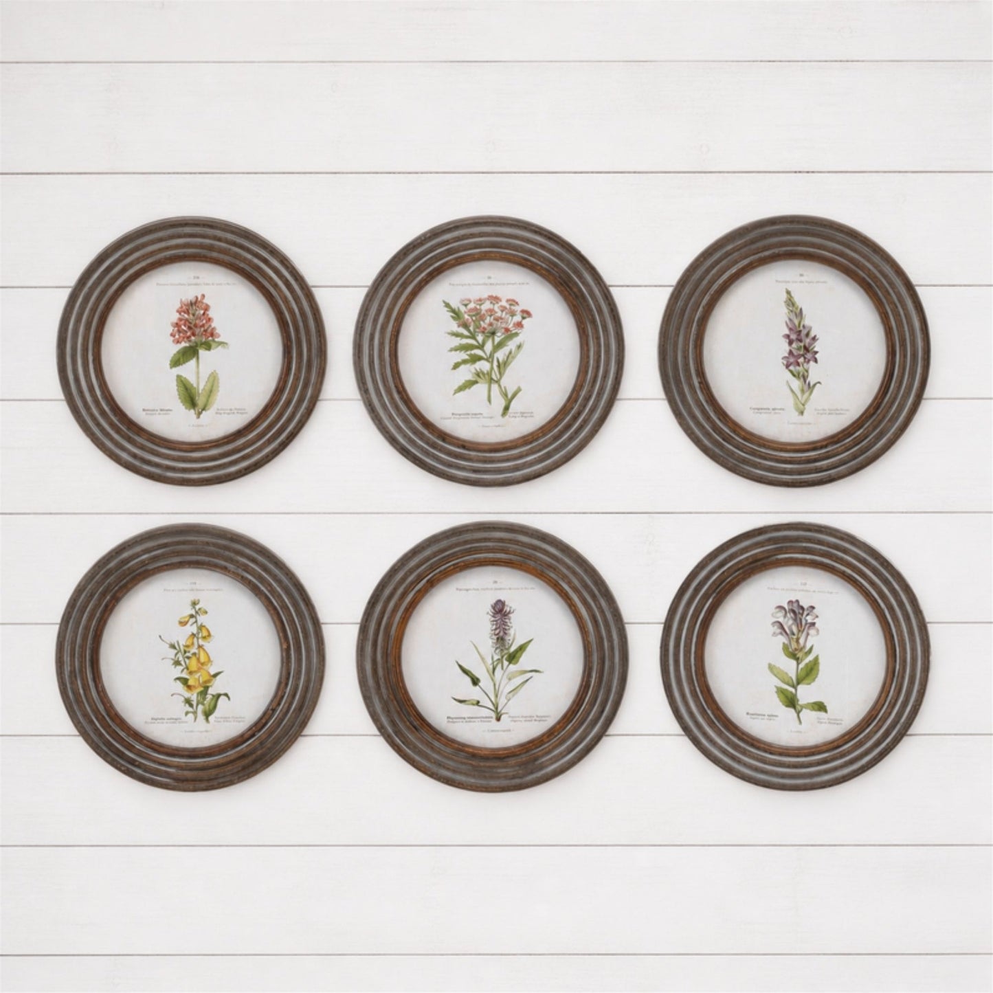 Round Framed Floral Print (Set of 6)