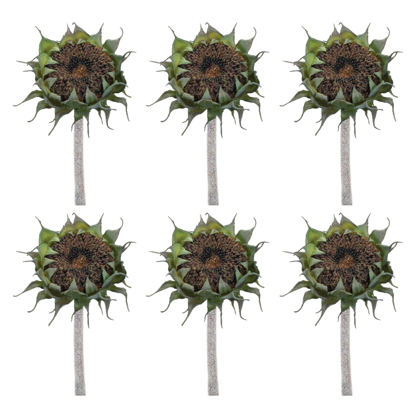 Brown Sunflower Stem (Set of 6)