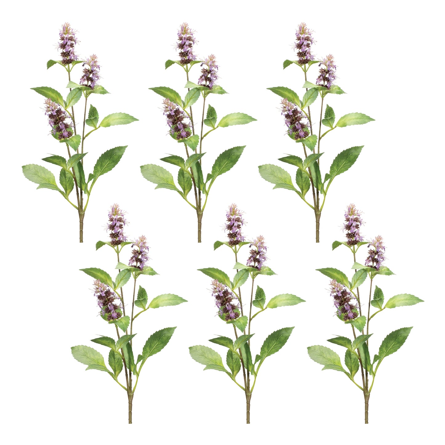 Buddleia Floral Stem (Set of 6)