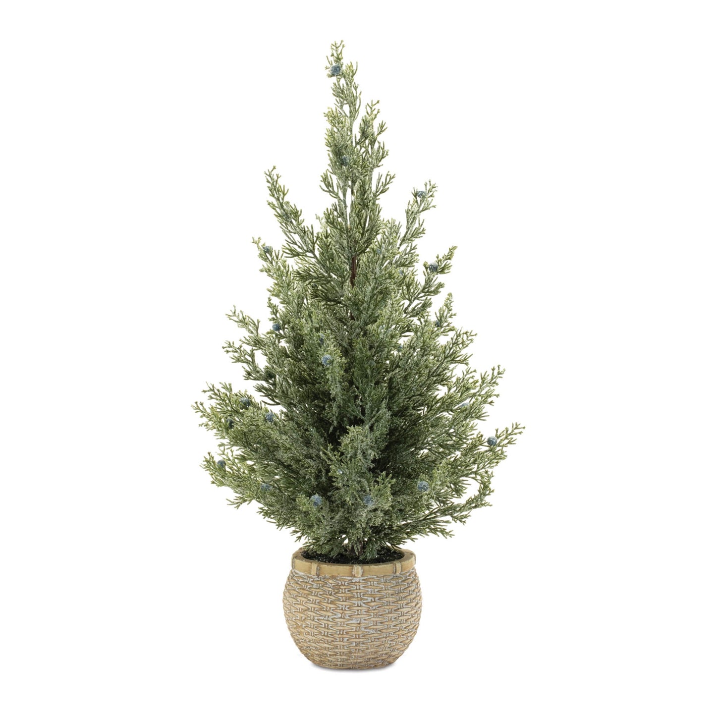 Potted Mini Pine Tree (Set of 2)