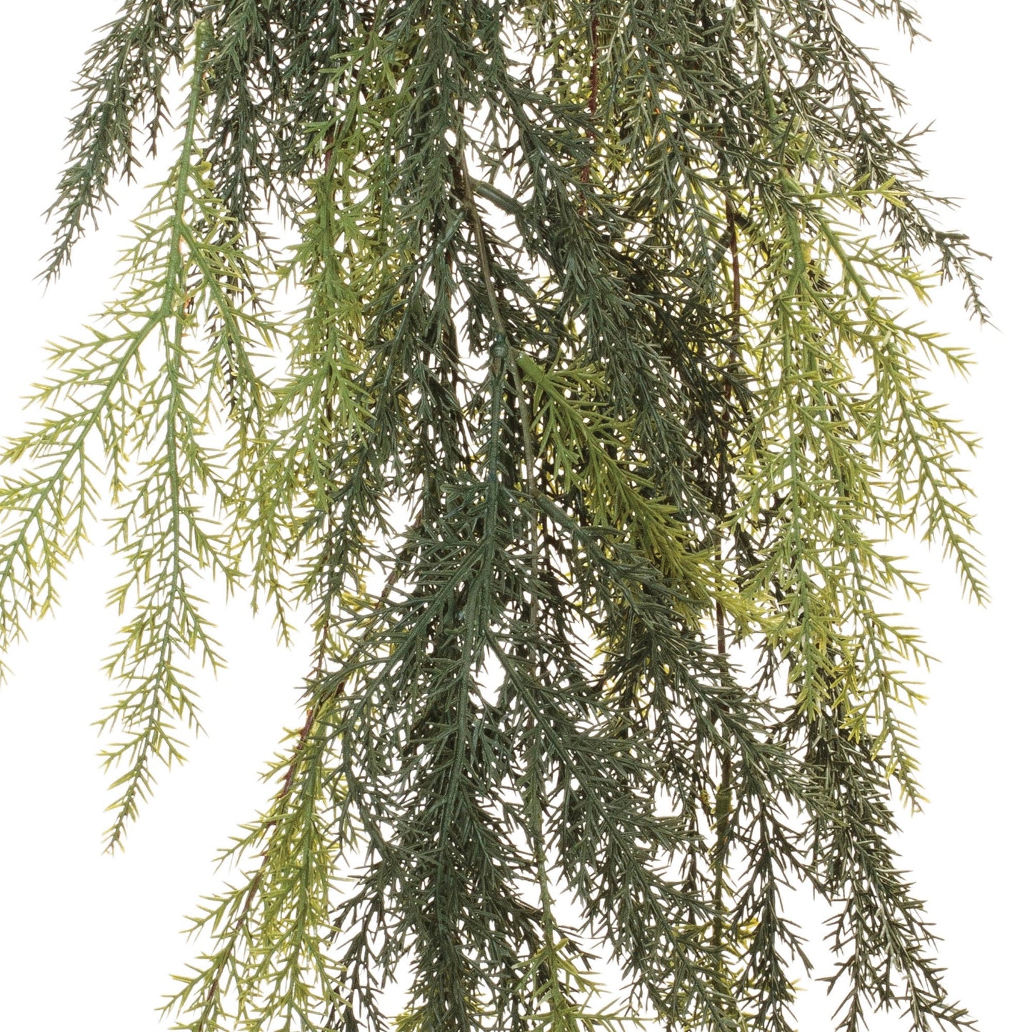 Cedar Hanging Vine (Set of 2)