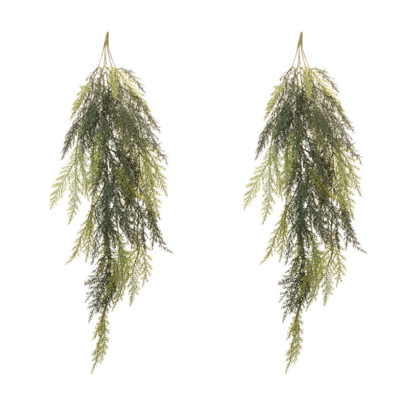 Cedar Hanging Vine (Set of 2)
