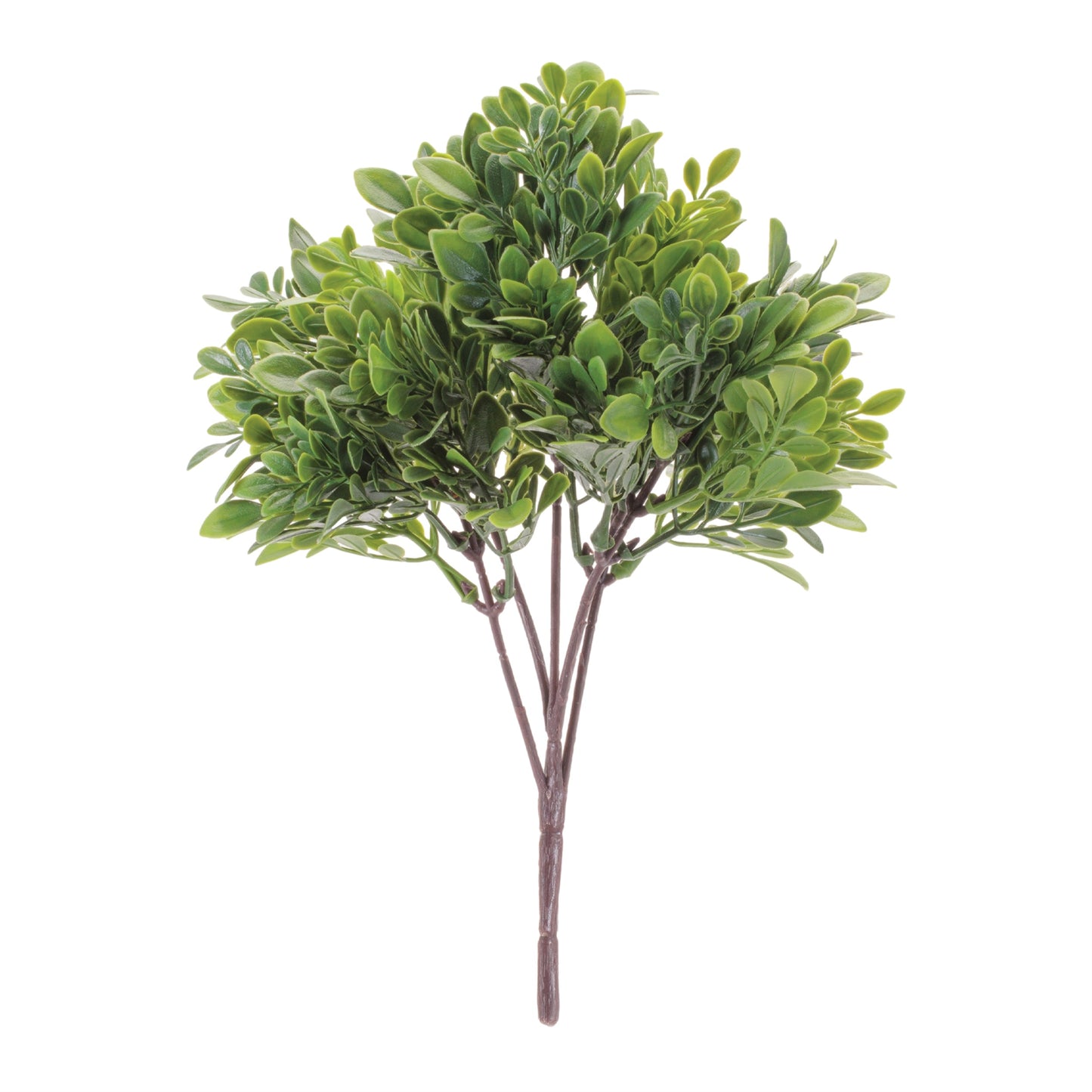 Boxwood Foliage Bush (Set of 6)
