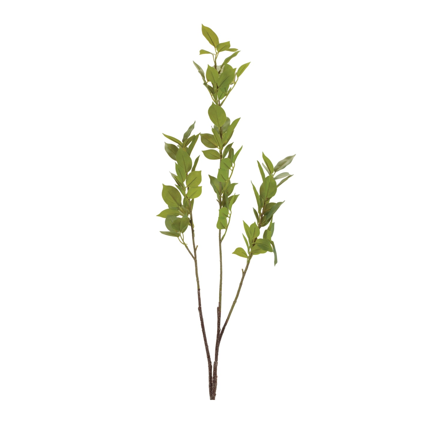 Leaf Foliage Branch (Set of 6)