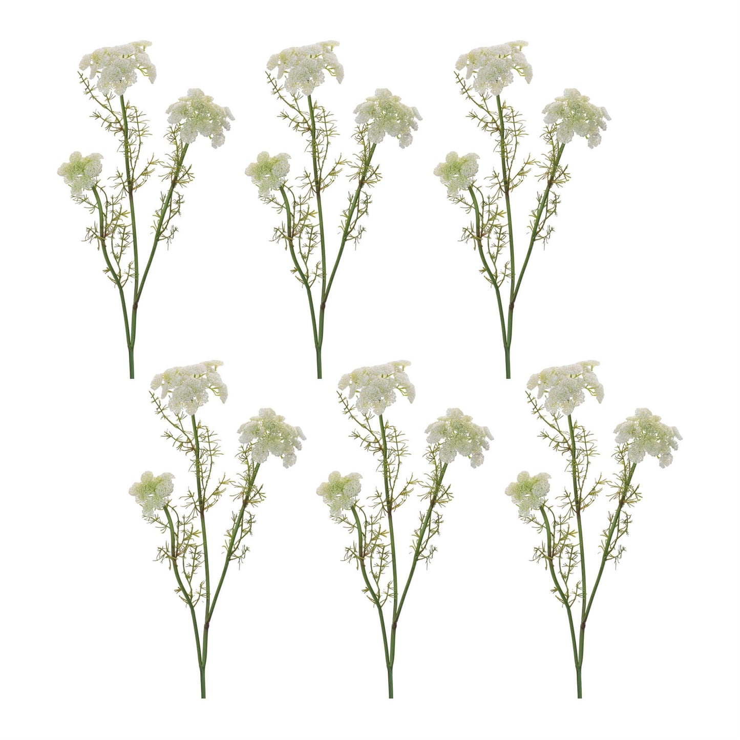 Queen Anne's Lace Floral Spray (Set of 6)