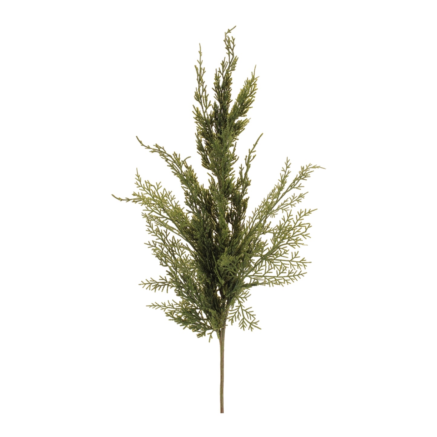 Variegated Pine Spray (Set of 4)