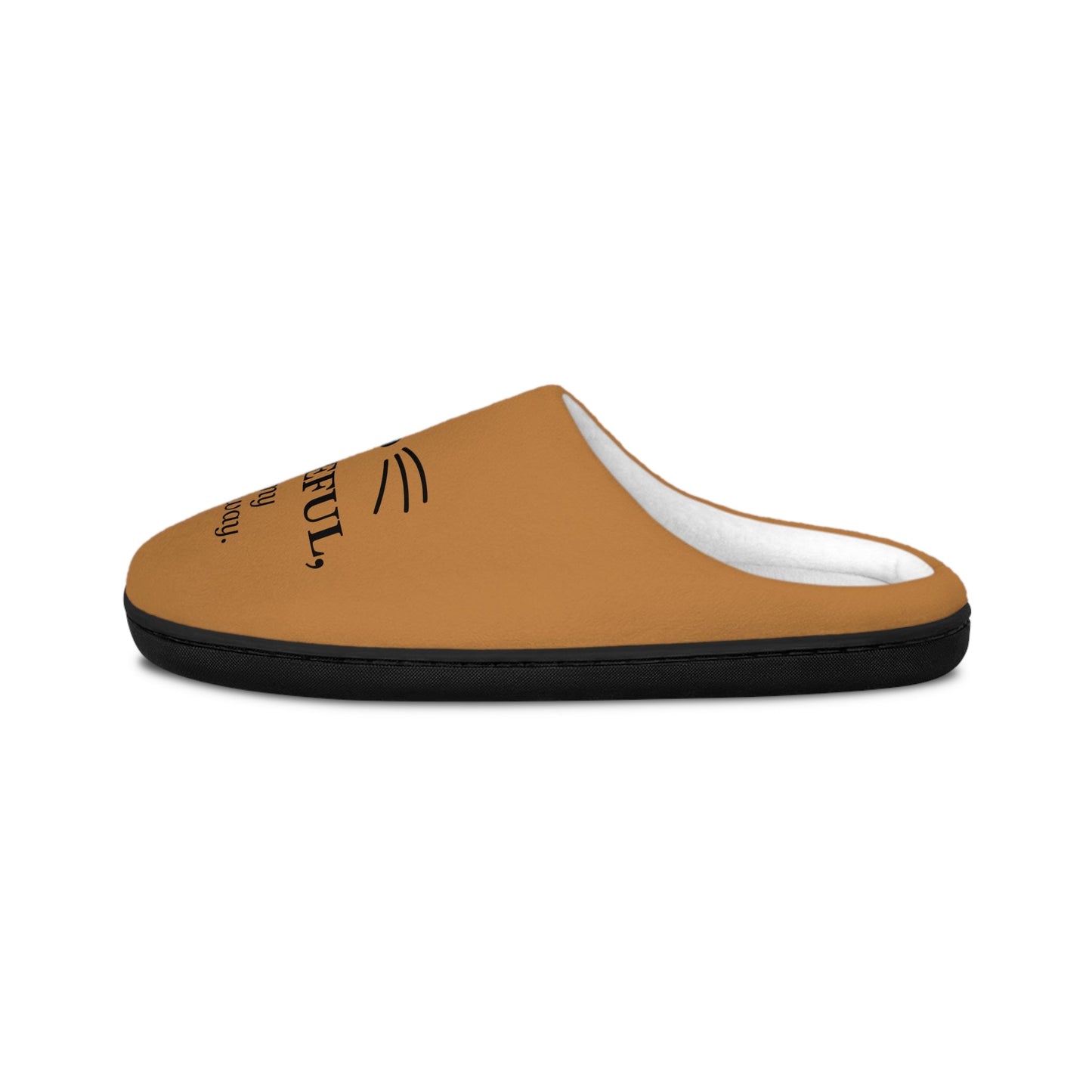 “Graceful… In My Own Way” Men’s Cat Slippers – Indoor Fleece House Shoes