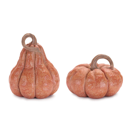 Decorative Harvest Pumpkin (Set of 2)