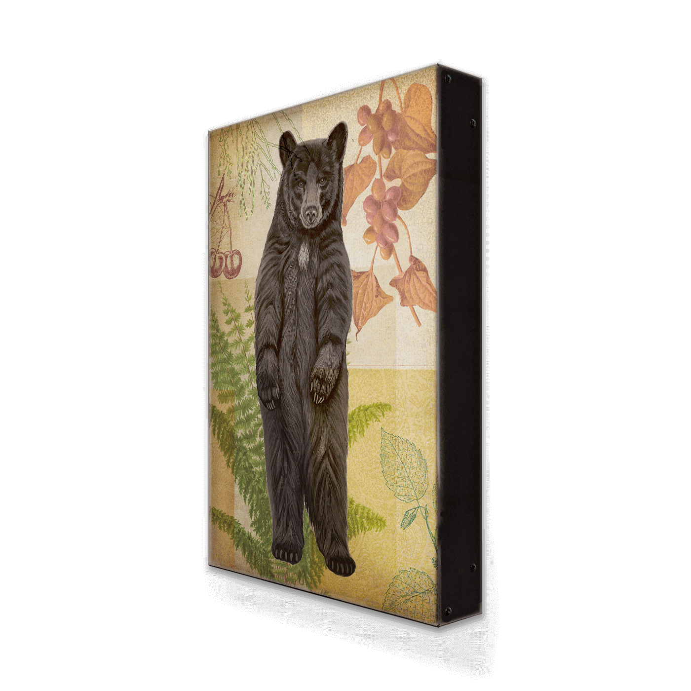 Wildwood Fern Bear - Metal Box Art