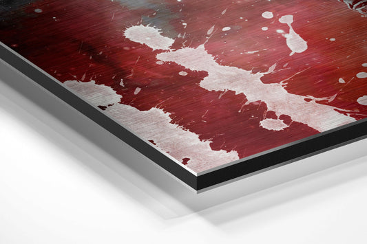 Fly in Space Brushed Aluminium Dibond Wall Art